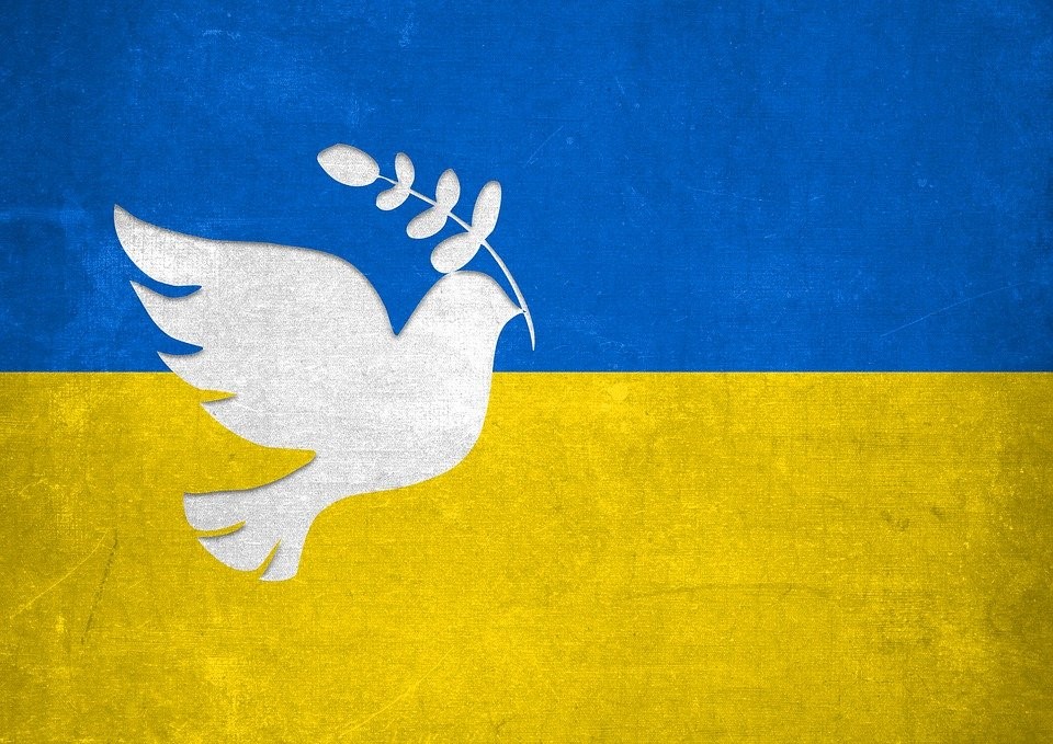 white dove with olive branch silhouette over the flag of Ukraine